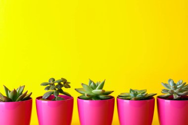 Renkli arka planda sulu tencereler