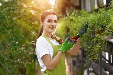 Serada çalışan güzel kadın bahçıvan