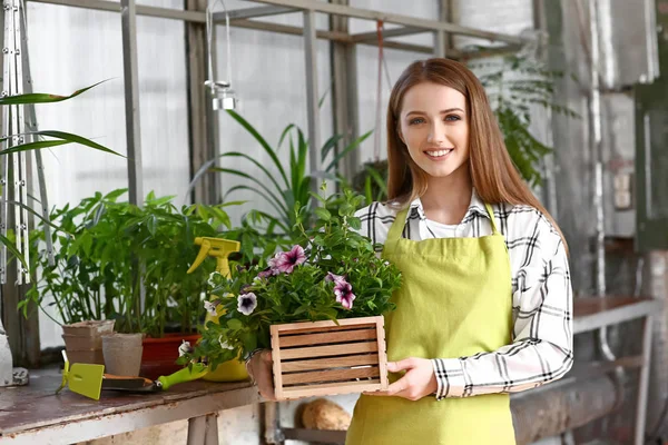 Beautiful female gardener in greenhouse — Stock Photo, Image