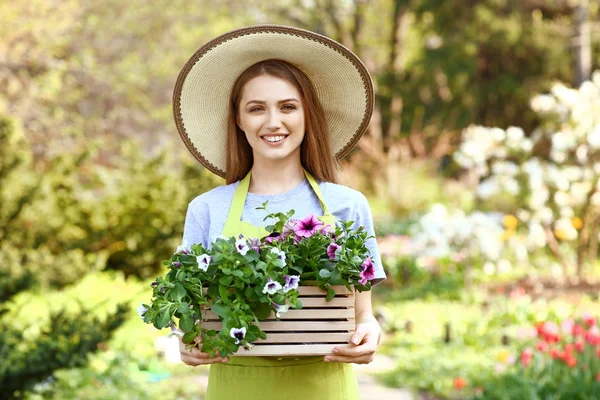 Hermosa jardinera femenina con flores en caja al aire libre —  Fotos de Stock