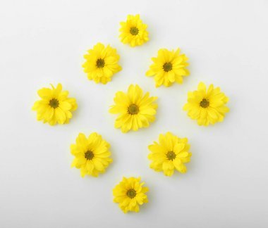 Beyaz arkaplanda güzel çiçekler