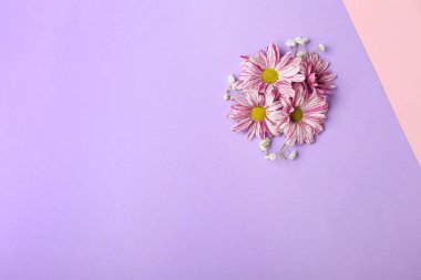 Renkli arkaplanda güzel çiçekler