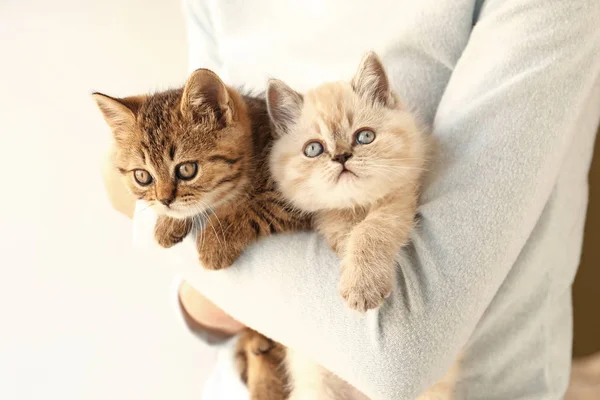 Woman with cute funny kittens at home — Stockfoto