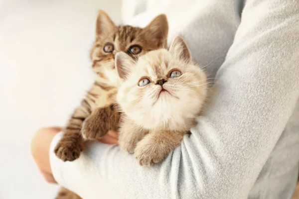 Woman with cute funny kittens at home — Stockfoto