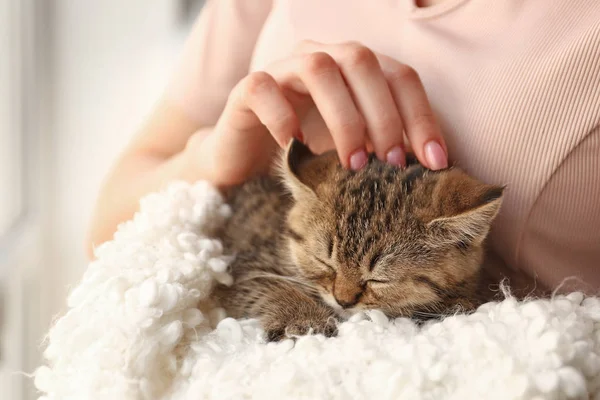 Woman with cute funny kitten at home — Stockfoto