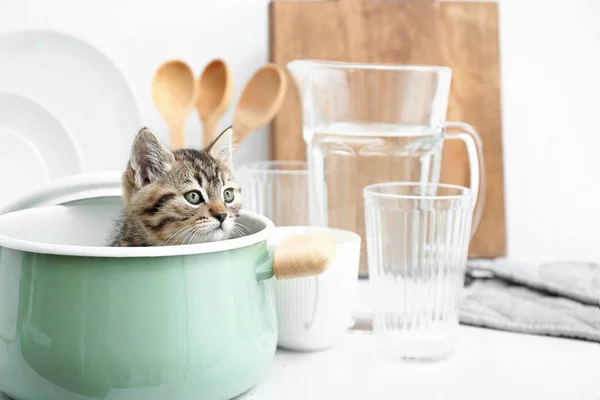 Schattig grappig kitten in pot op keuken tafel — Stockfoto