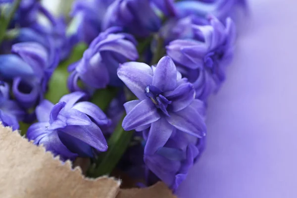Beautiful hyacinth flowers on color background, closeup — Stock Photo, Image