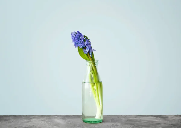 Sticlă cu flori frumoase de zambet pe masă pe fundal deschis — Fotografie, imagine de stoc