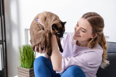 Young woman with cute Thai cat at home