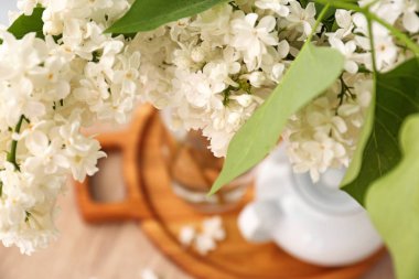 Masada güzel leylak çiçekleri, yakın plan.