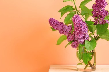 Renkli arka plan karşı masada vazo içinde güzel leylak çiçekler