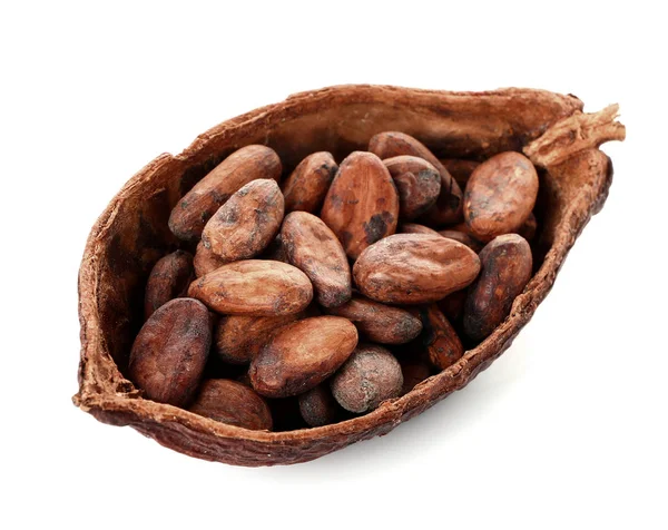 Cialda di cacao con fagioli su sfondo bianco — Foto Stock