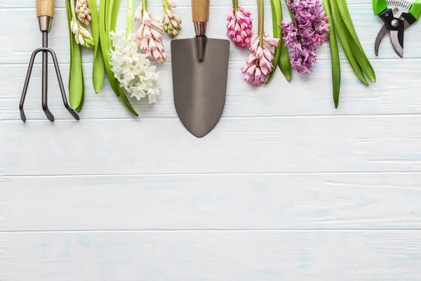 Beautiful hyacinth flowers with gardening tools on wooden background — Stock Photo, Image