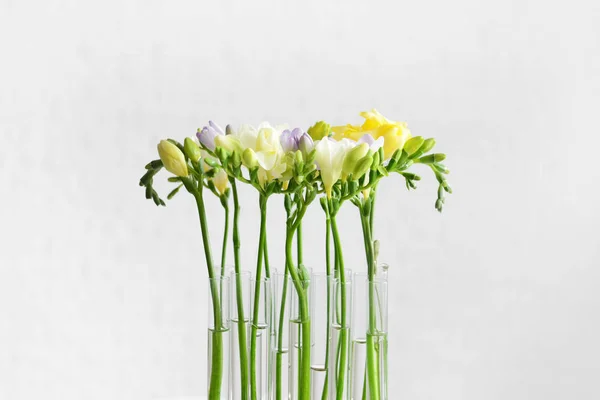Schöne Freesia-Blumen auf hellem Hintergrund — Stockfoto