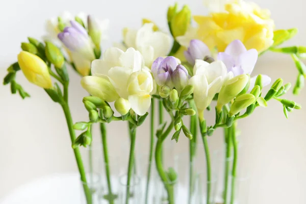 Beautiful fresh freesia flowers, closeup — Stock Photo, Image