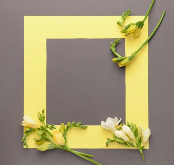 Frame with beautiful freesia flowers on grey background — Stock Photo, Image