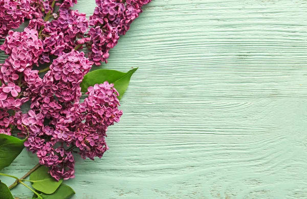 Beautiful lilac flowers on wooden background — Stock Photo, Image