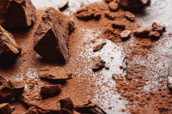 Cocoa powder and chocolate on slate board — Stock Photo, Image