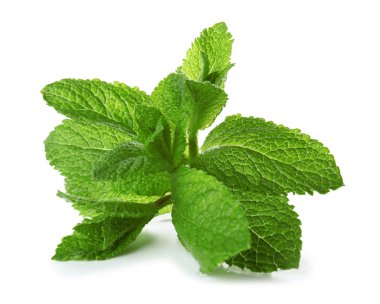 beyaz zemin üzerine yeşil nane yaprakları
