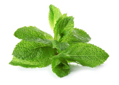 beyaz zemin üzerine yeşil nane yaprakları