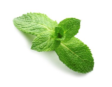 beyaz zemin üzerine yeşil nane yaprakları