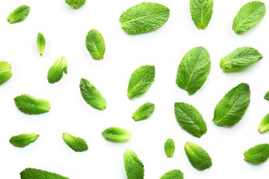 beyaz zemin üzerine yeşil nane yaprakları