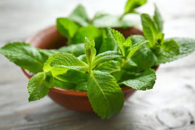 Açık ahşap arka plan üzerinde taze yeşil nane ile Kase, closeup