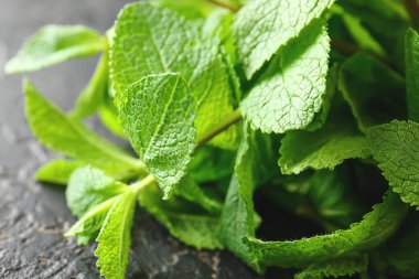 Gri arka planda taze yeşil nane, closeup