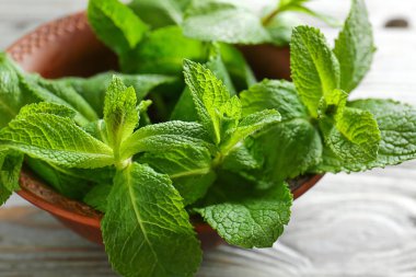 Açık ahşap arka plan üzerinde taze yeşil nane ile Kase, closeup