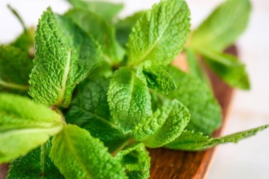 Açık arka plan üzerinde taze yeşil nane ile Board, closeup