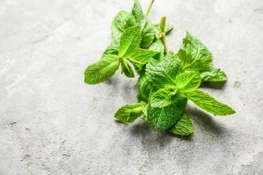 Açık arkaplanda taze yeşil nane