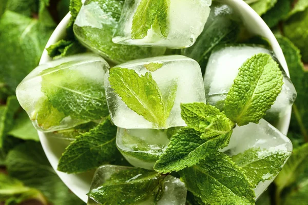 Bowl with fresh mint leaves and ice cubes, closeup — Stock Photo, Image