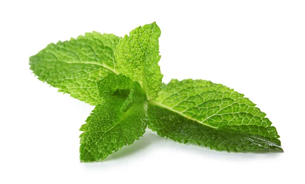 Green mint leaves on white background — Stock Photo, Image