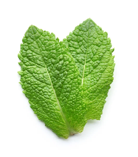 Green mint leaves on white background — Stock Photo, Image