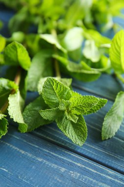 Ahşap arka plan üzerine taze yeşil nane, closeup