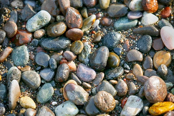 Wet pebbles on sea beach, closeup — Stock Photo, Image