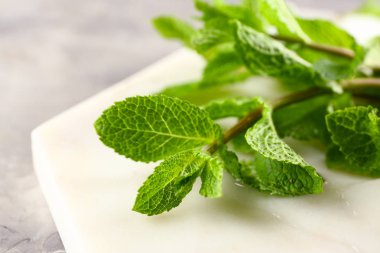 Masada taze nane yaprakları, closeup