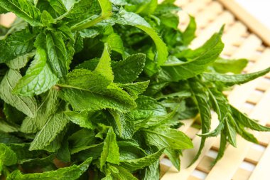 Masada taze yeşil nane, yakın plan.