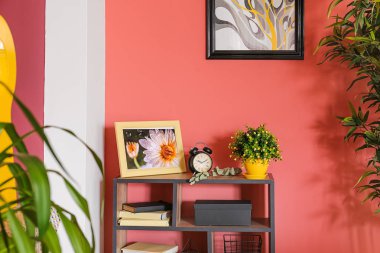 Renkli duvara yakın dekorlu raf ünitesi