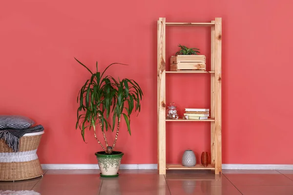 Wooden rack with decor and green plant in pot near color wall — Stock Photo, Image