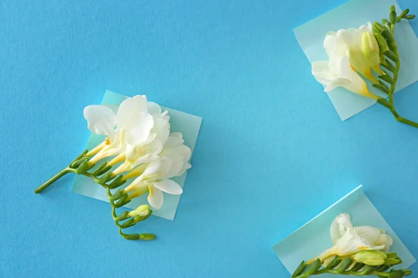 Papírlapok és gyönyörű Freesia virágok színes háttér — Stock Fotó