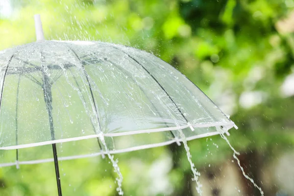 Transparent umbrella outdoors on rainy day — Stock Photo, Image