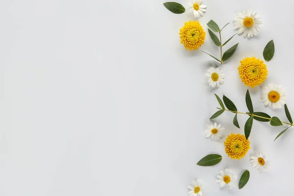 Όμορφα φρέσκα λουλούδια και φύλλα σε λευκό φόντο — Φωτογραφία Αρχείου