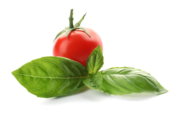 Fresh basil leaves and tomato on white background — Stock Photo, Image