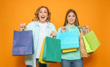 Renkli arka planda alışveriş çantaları ile mutlu anne ve kızı Portresi