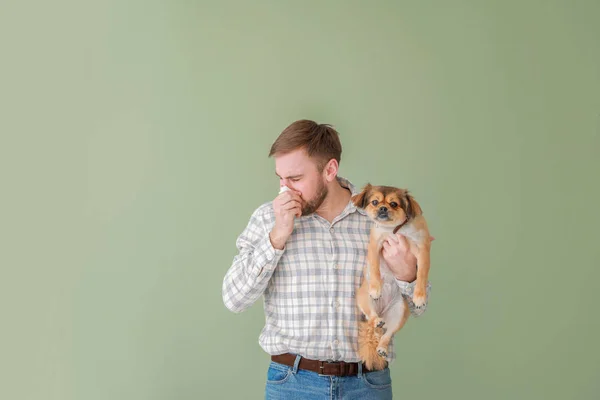 Man suffering from pet allergy on color background — Stock Photo, Image