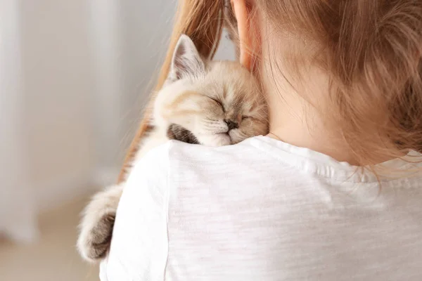 Chica con lindo gatito esponjoso en casa — Foto de Stock