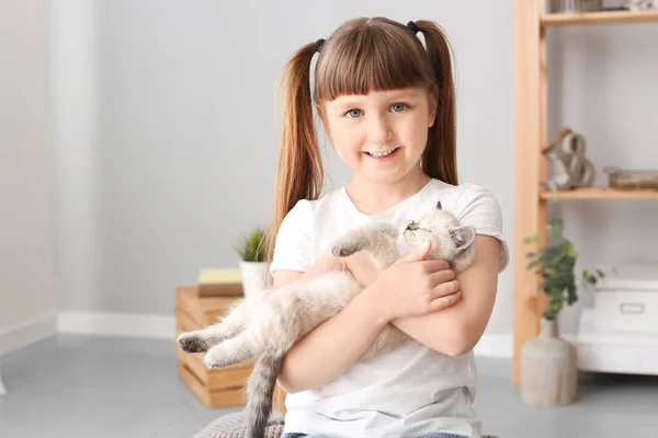 Flicka med söt fluffiga kattunge hemma — Stockfoto