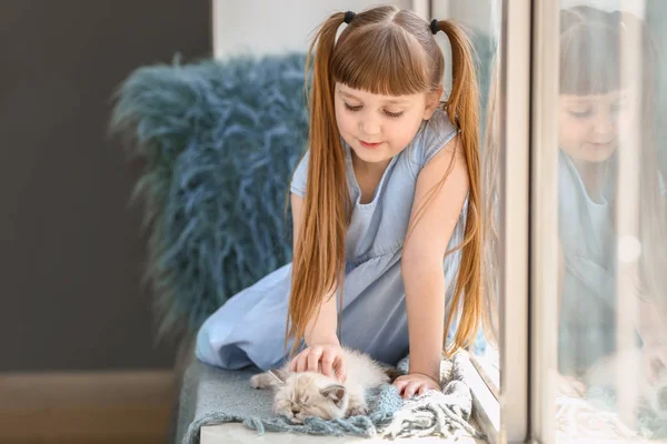 Fille avec chaton moelleux mignon près de la fenêtre — Photo