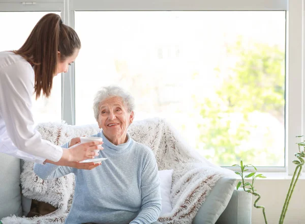Doctor giving tea to senior woman in nursing home — Stock Photo, Image